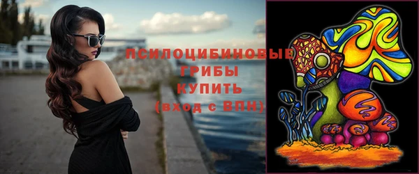 молекула духа Дмитровск
