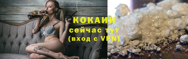 молекула духа Дмитровск