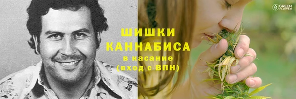 стафф Дмитриев