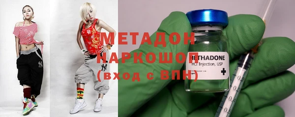 стафф Гусев