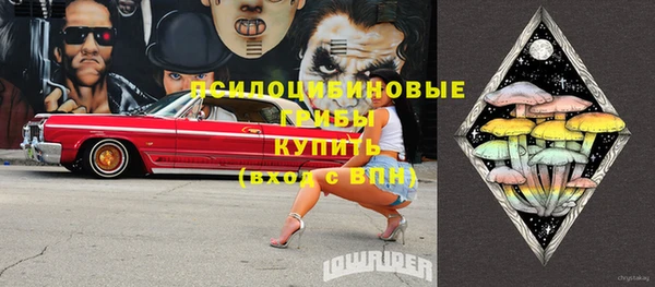 стафф Дмитриев