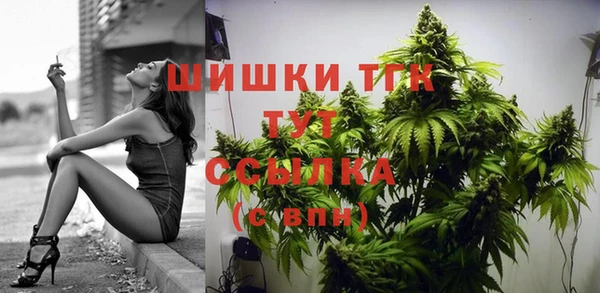 спиды Дмитров