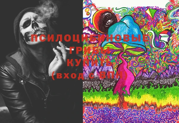 молекула духа Дмитровск