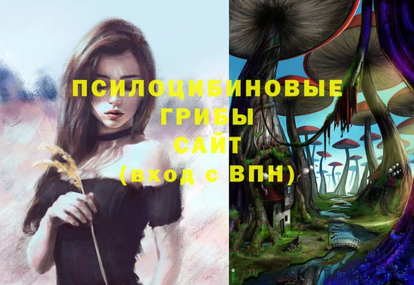 стафф Дмитриев