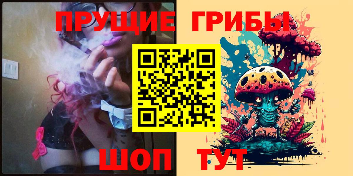 Галлюциногенные грибы MAGIC MUSHROOMS  Вход с VPN  Псилоцибиновые грибы Magic Shrooms  Выкса 