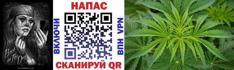 Конопля сатива  Выкса 